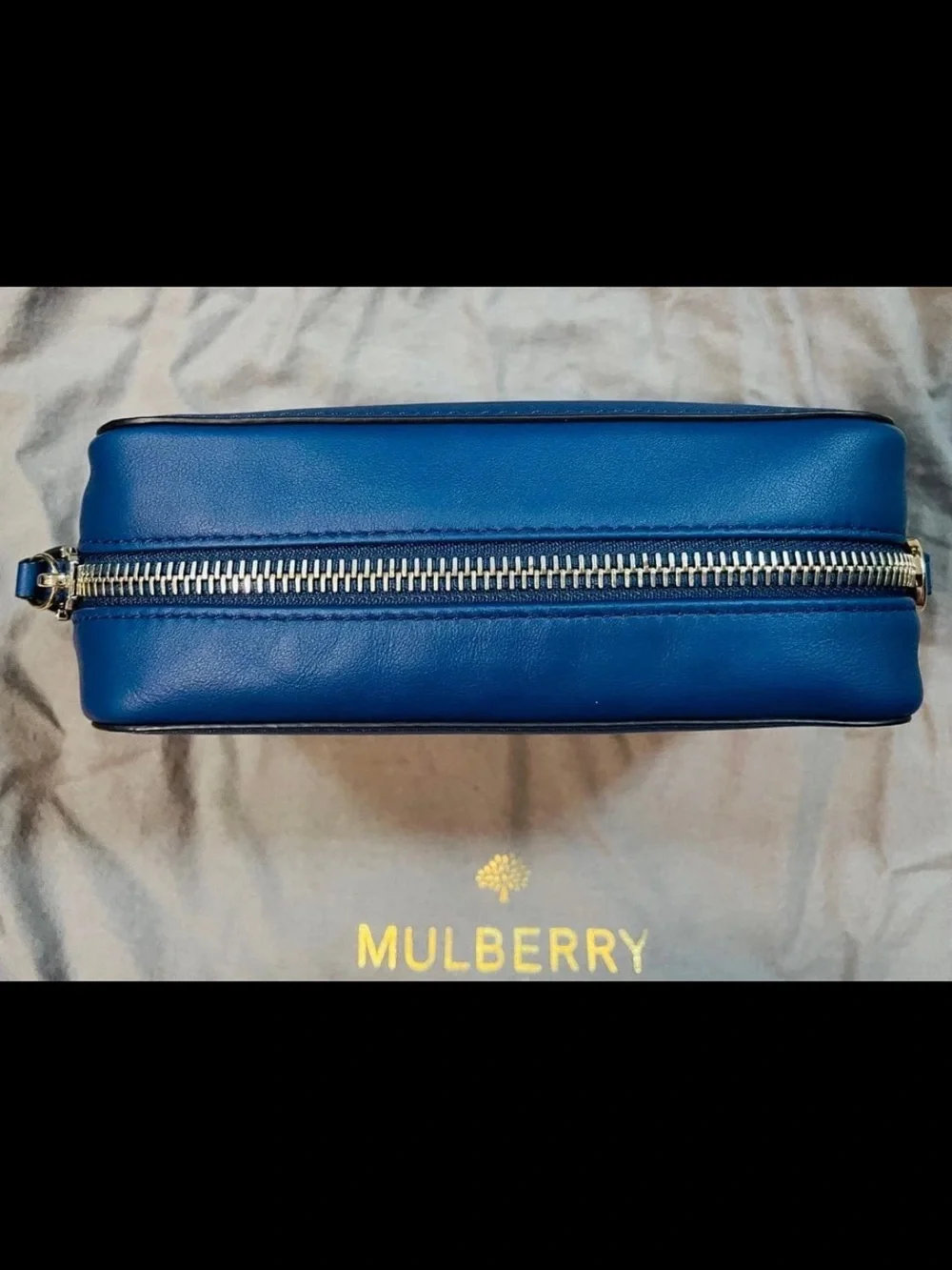 Mulberry Leather Camera Bag in Cobalt Blue